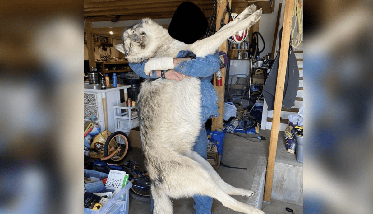 Post Image