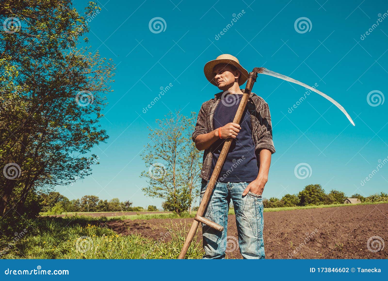 Post Image