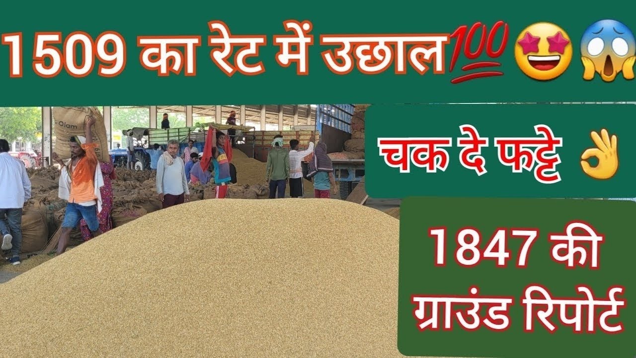 शेयर बाजार में रिकॉर्ड तेजी: 1509 अंकों की बढ़त, 4.5 लाख करोड़ का मुनाफा शेयर बाजार में रिकॉर्ड तेजी: 1509 अंकों की बढ़त, 4.5 लाख करोड़ का मुनाफा