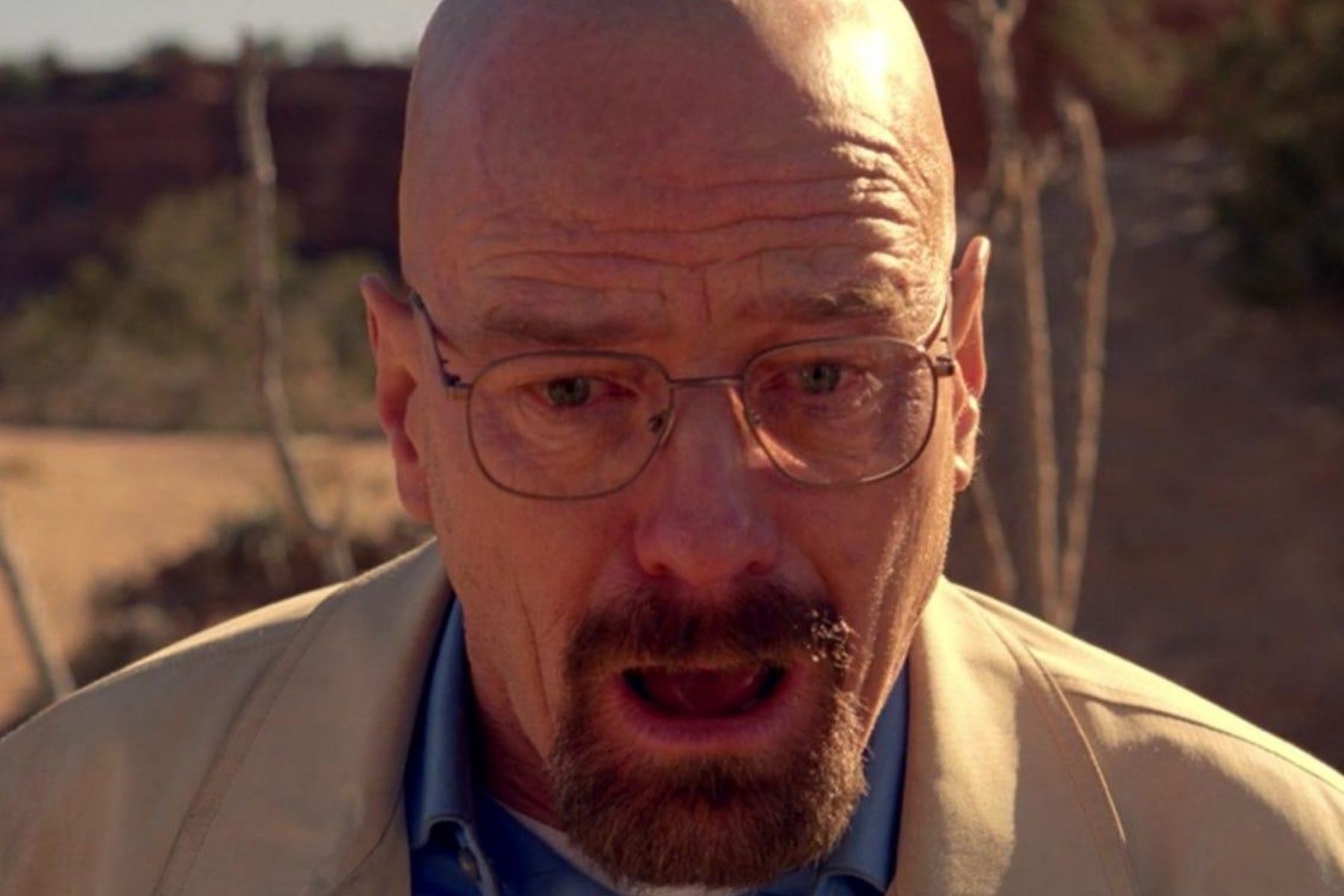 2025's Funniest TV Performance? Bryan Cranston's Silent Masterclass 2025's Funniest TV Performance? Bryan Cranston's Silent Masterclass