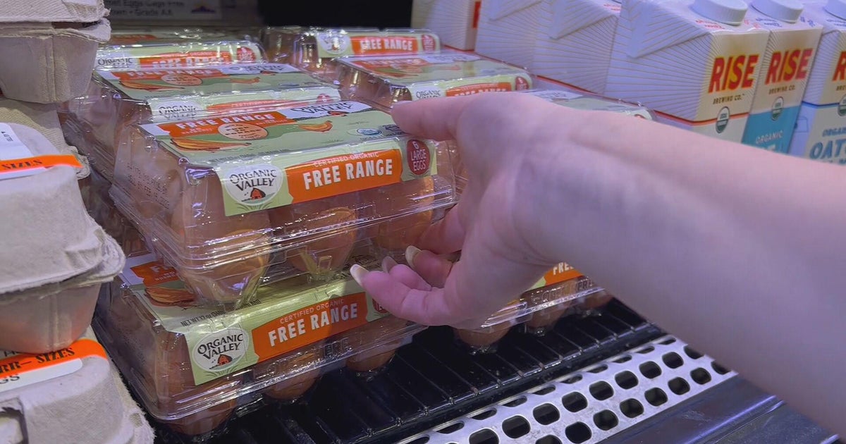 $5 A Dozen: Egg Prices Fall From Record Highs In The US $5 A Dozen: Egg Prices Fall From Record Highs In The US