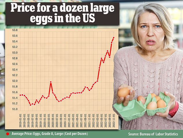 $5 A Dozen: Egg Prices Fall Sharply In The United States $5 A Dozen: Egg Prices Fall Sharply In The United States