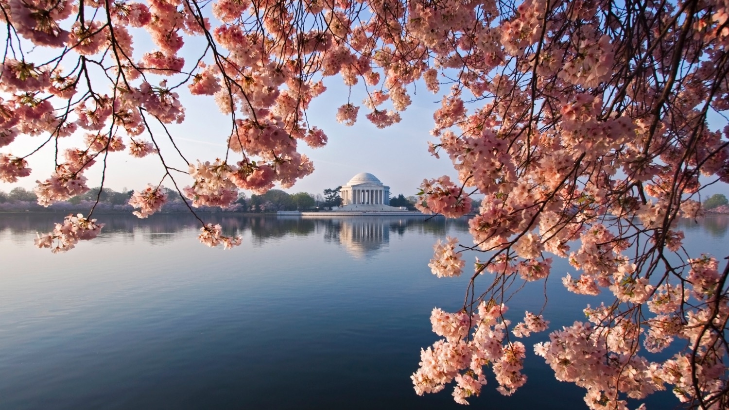 500 Influential People In Washington DC: 2025 Edition 500 Influential People In Washington DC: 2025 Edition