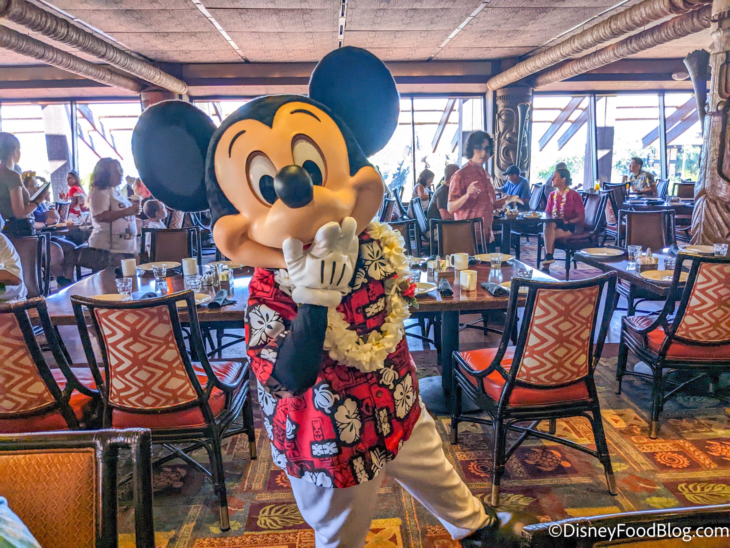 7 Unmissable Orlando Restaurants To Try In 2025 (Beyond Disney) 7 Unmissable Orlando Restaurants To Try In 2025 (Beyond Disney)