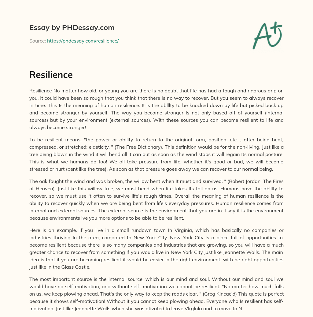 A Father's Resilience: Jonathan Peretz's Journey Through Loss And Reunion A Father's Resilience: Jonathan Peretz's Journey Through Loss And Reunion