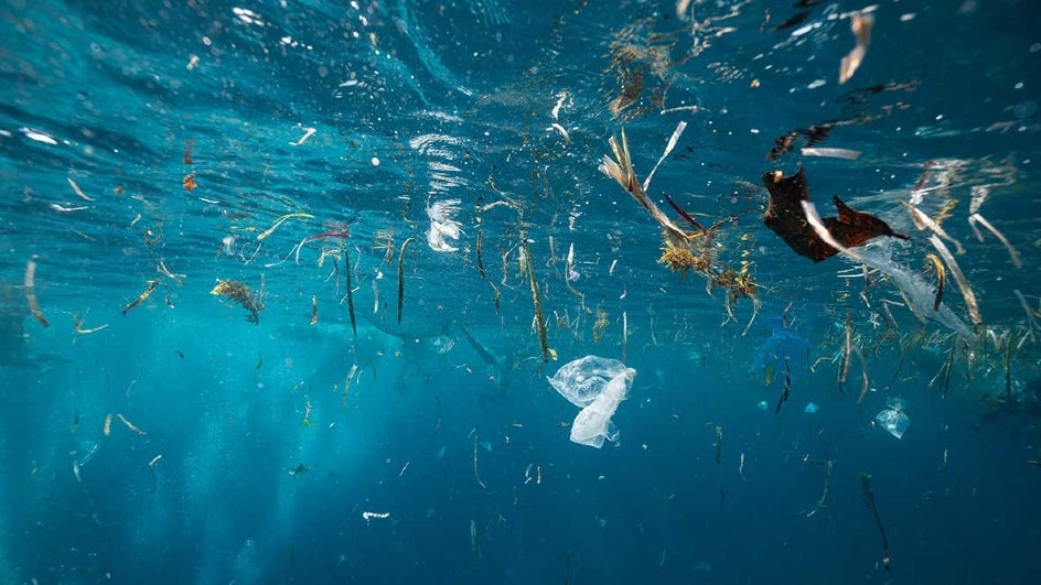 Acqua E Microplastiche: Un'analisi Della Contaminazione Acqua E Microplastiche: Un'analisi Della Contaminazione