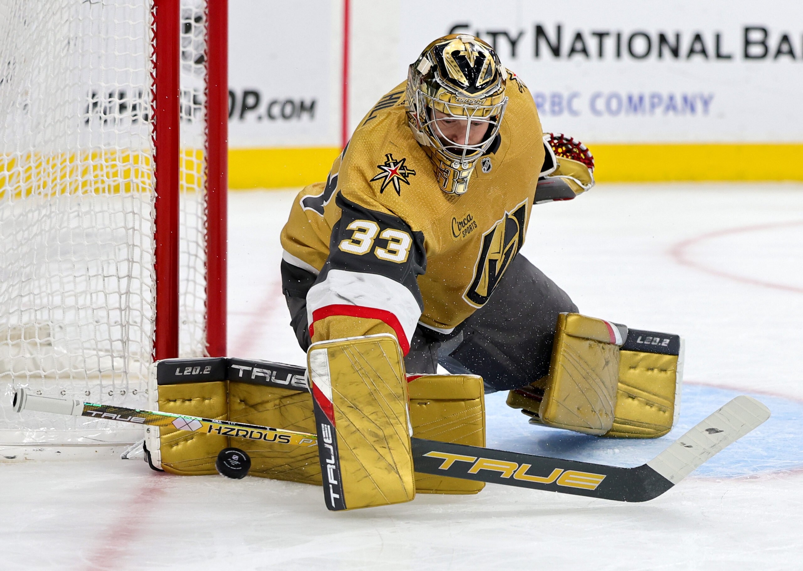 Adin Hill's 27-Save Shutout Fuels Golden Knights' 4-0 Win Against Columbus Adin Hill's 27-Save Shutout Fuels Golden Knights' 4-0 Win Against Columbus