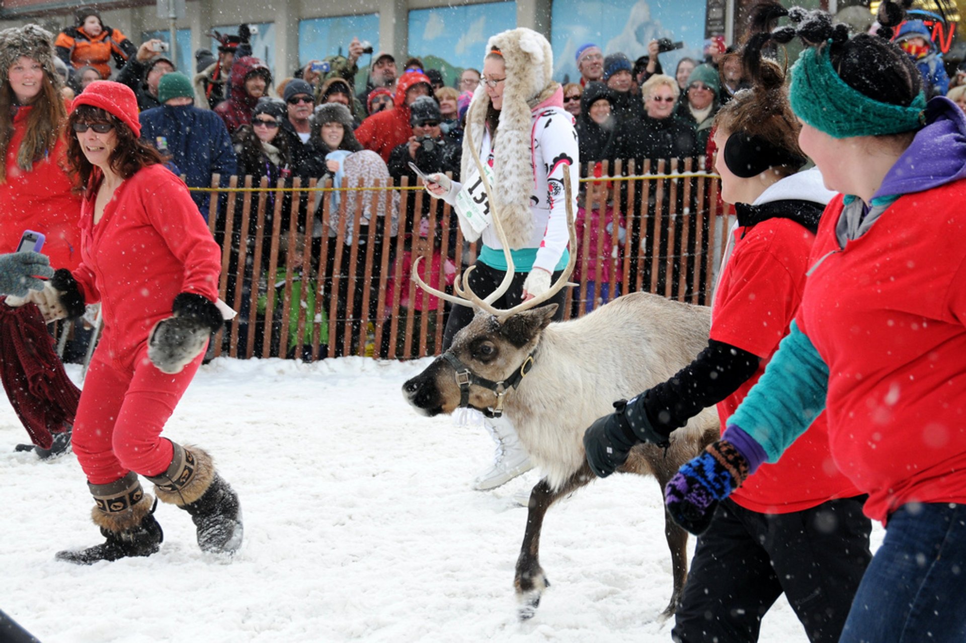 Alaska's Fur Rondy: A Shorter Race, Same Unwavering Dedication Alaska's Fur Rondy: A Shorter Race, Same Unwavering Dedication