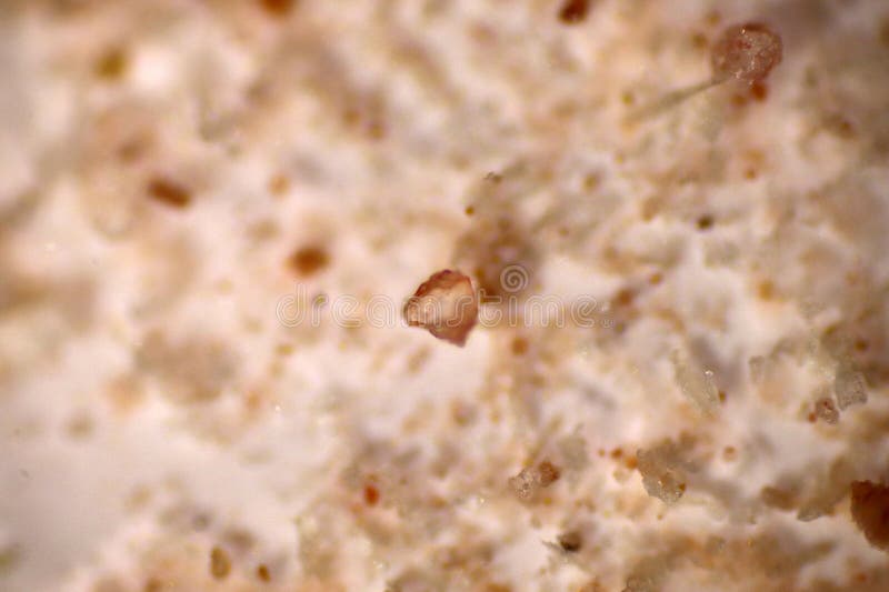 Analisi Della Presenza Di Microplastiche In Diverse Fonti D'acqua Analisi Della Presenza Di Microplastiche In Diverse Fonti D'acqua