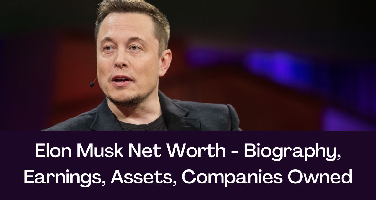 Analyzing Elon Musk's Net Worth Change: 100 Days Under Trump Analyzing Elon Musk's Net Worth Change: 100 Days Under Trump
