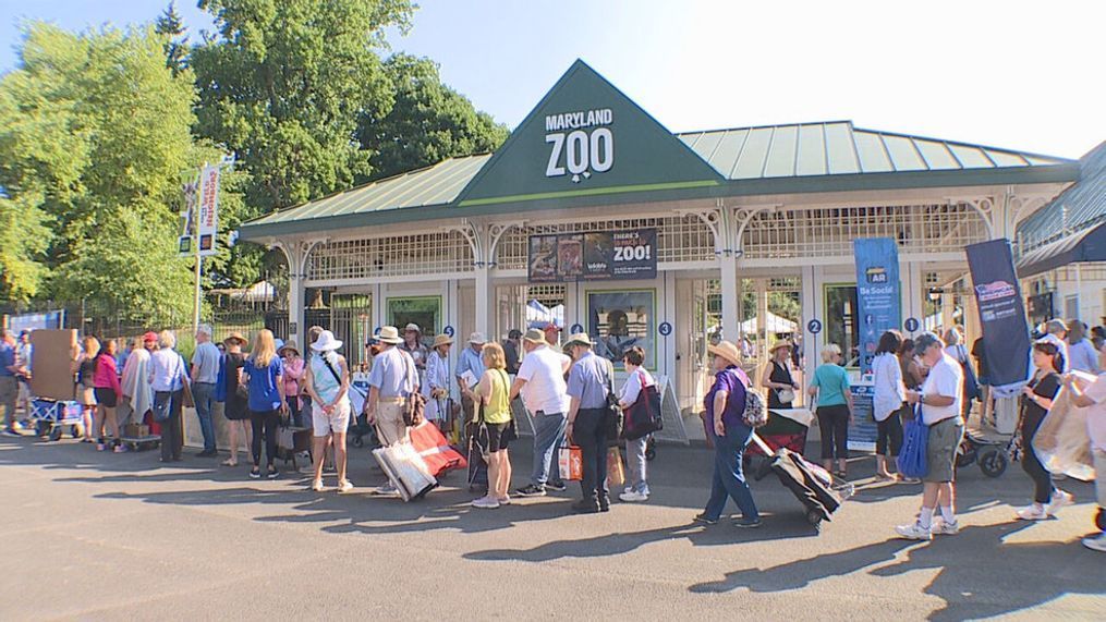 Antiques Roadshow Couple Sentenced: National Treasure Trafficking Case Antiques Roadshow Couple Sentenced: National Treasure Trafficking Case