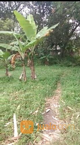 Balikpapan Semakin Hijau: Pembangunan Taman Kota 1 Hektare Per Kecamatan Balikpapan Semakin Hijau: Pembangunan Taman Kota 1 Hektare Per Kecamatan