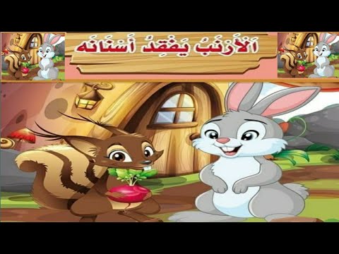 باربوزا يفقد أسنانه: تفاصيل معركة ماراكانا المثيرة