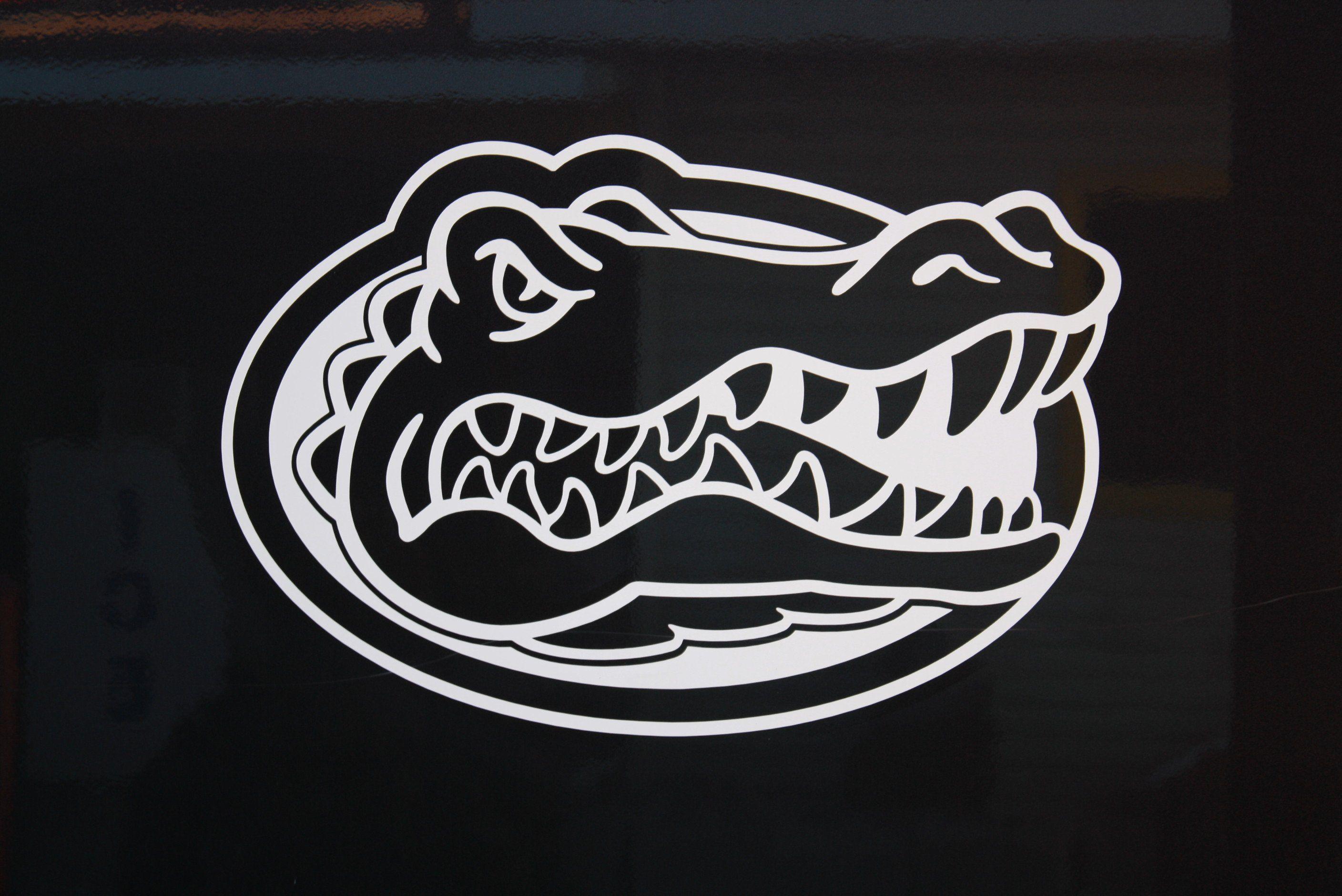 Beneath The Surface: Filming Gators In Florida's Springs