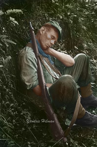 Bert Natters Concentratiekamproman: Een Indrukwekkend, Vermoeiend Portret Van De Nazidagen Bert Natters Concentratiekamproman: Een Indrukwekkend, Vermoeiend Portret Van De Nazidagen