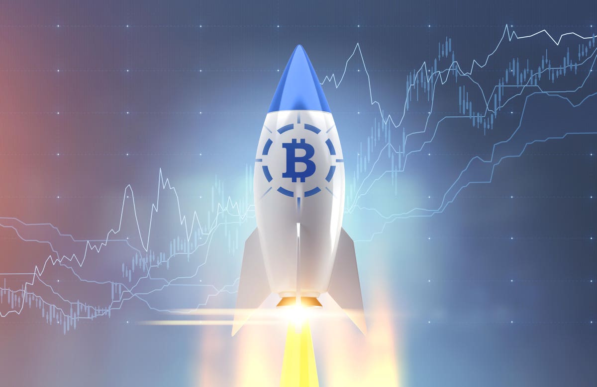 Bitcoin Price Soars: Trump's Crypto Expert Offers Unexpected Forecast