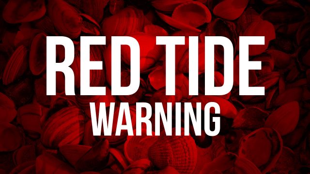 Cape Cod Issues Emergency Red Tide Warning: What You Need To Know Cape Cod Issues Emergency Red Tide Warning: What You Need To Know