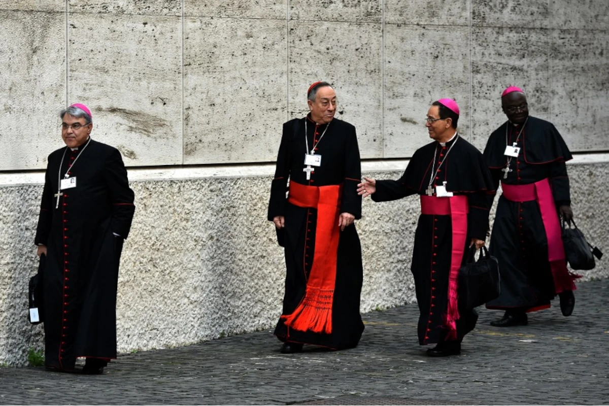 Cardinals As Next Pope: Who Are The Leading Contenders? Cardinals As Next Pope: Who Are The Leading Contenders?