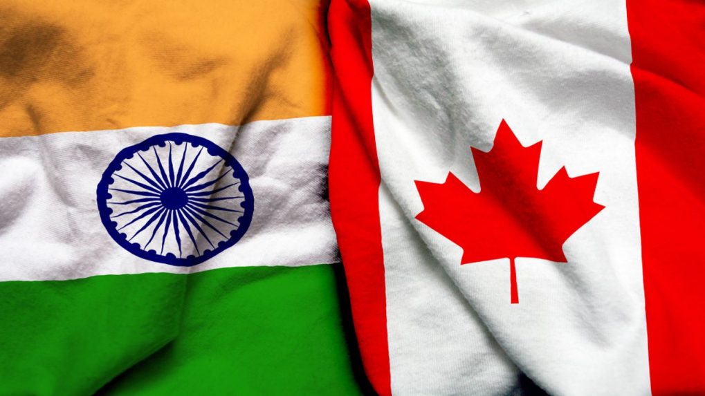 China's Canola Search: New Sources After Canada Rift China's Canola Search: New Sources After Canada Rift