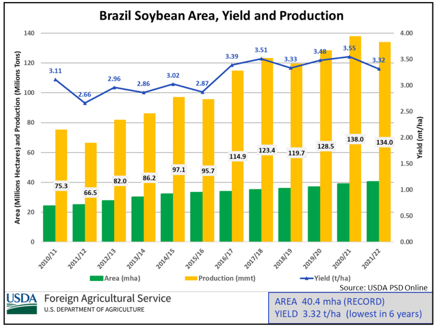 China's Soybean Supply Crunch: Sinograin's Auction Response China's Soybean Supply Crunch: Sinograin's Auction Response