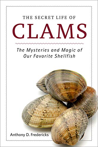 Citizen Scientists And The Mysteries Of Whidbey Clams Citizen Scientists And The Mysteries Of Whidbey Clams