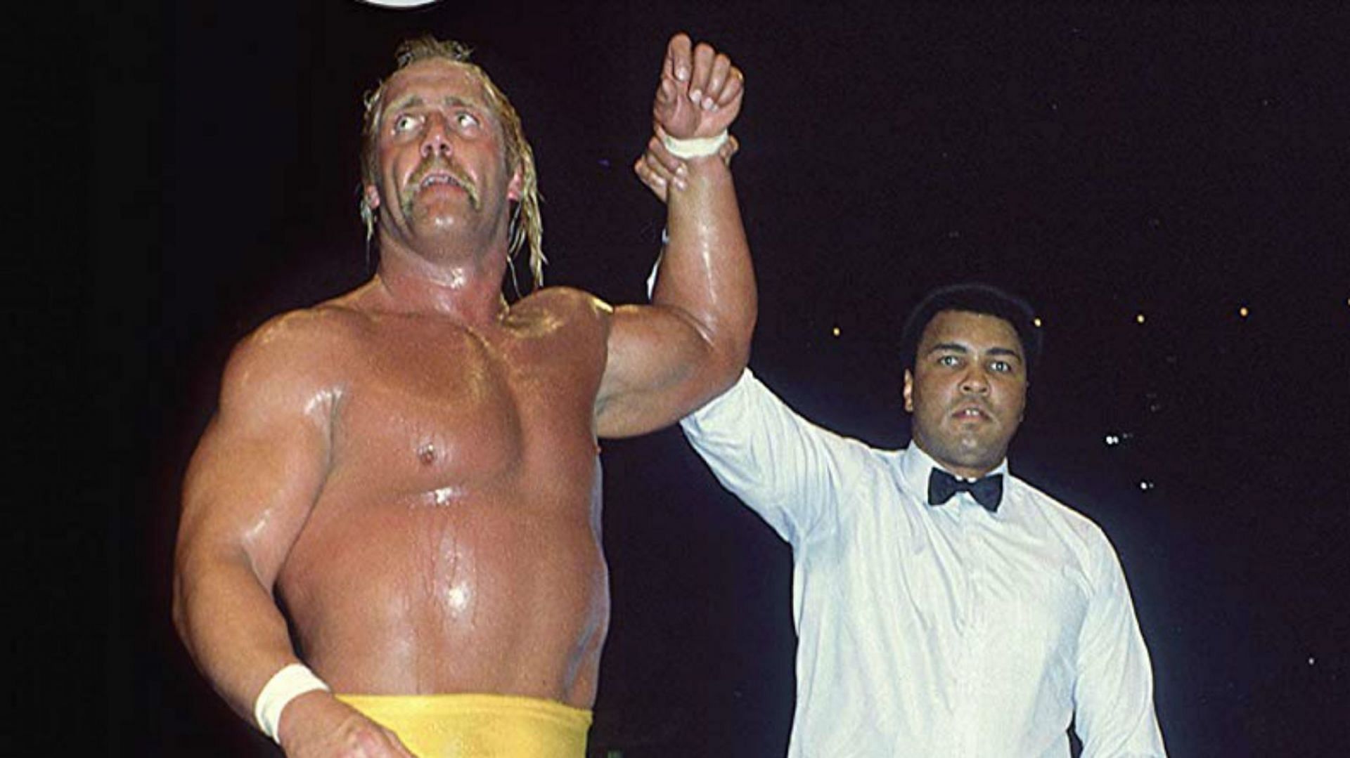 Complete List Of Celebrities Inducted Into The WWE Hall Of Fame Complete List Of Celebrities Inducted Into The WWE Hall Of Fame
