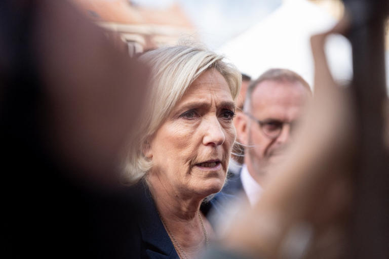 Condamnation Marine Le Pen:  Appel Et Détails De La Peine D'inéligibilité