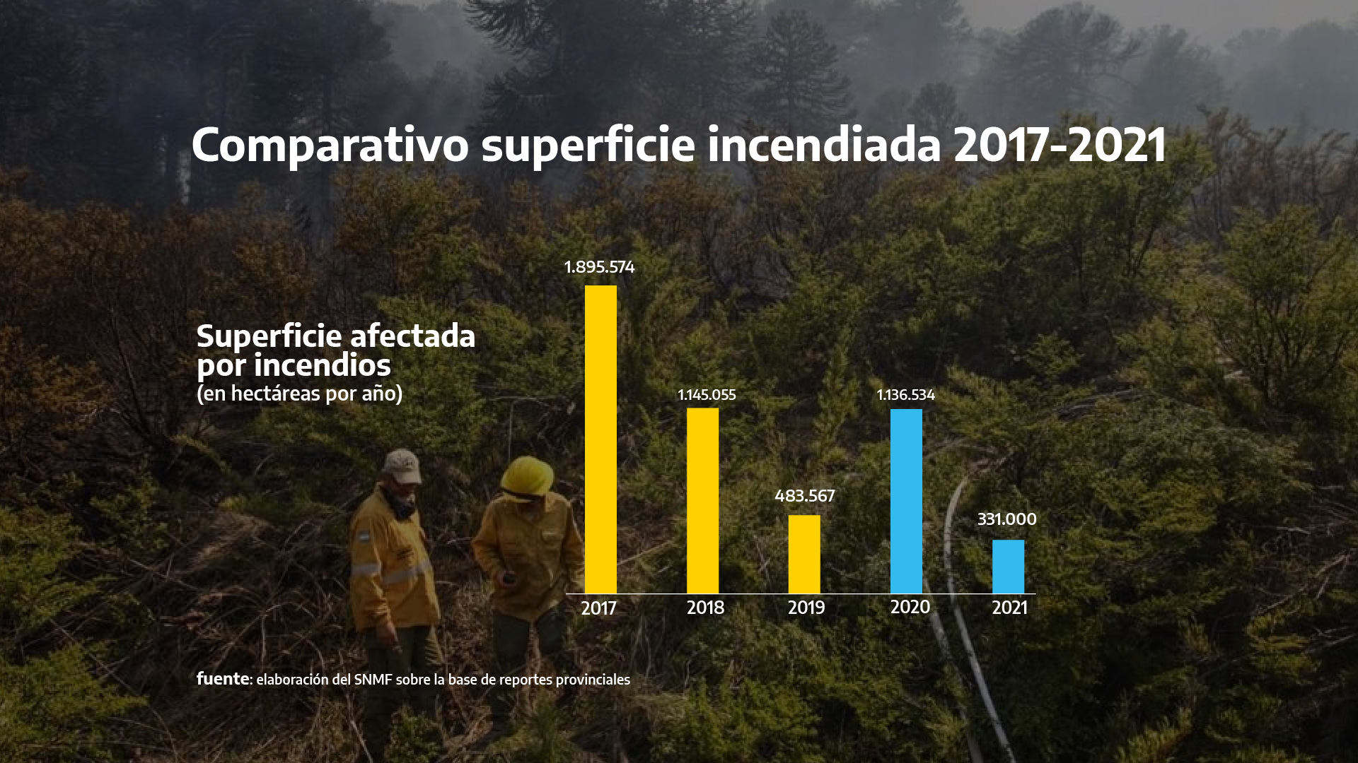 Constanza Afectada Por Incendio: Bomberos Forestales En Acción Constanza Afectada Por Incendio: Bomberos Forestales En Acción