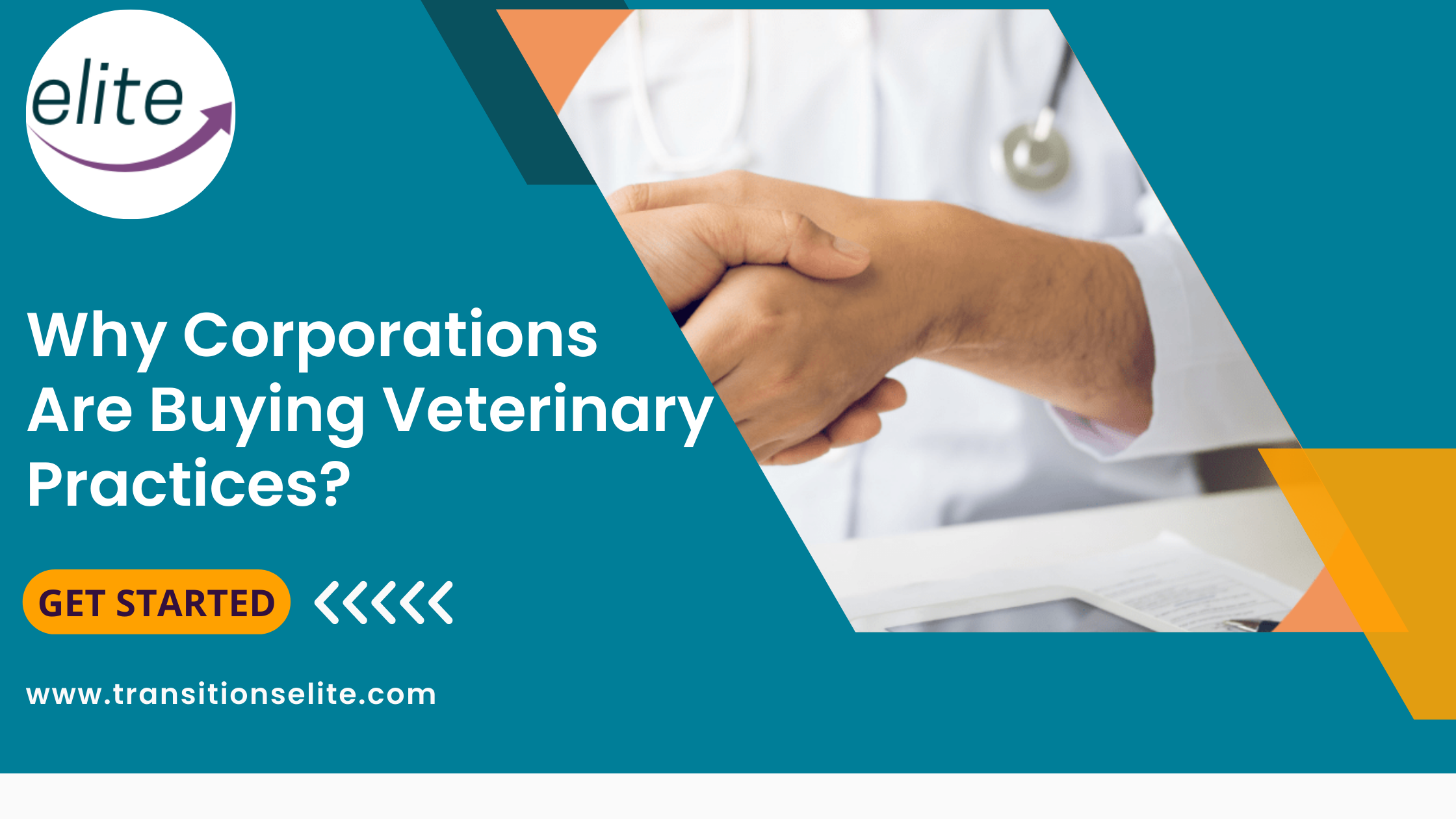 Corporate Veterinary Practices: Are They Driving Up Pet Owner Costs In The UK? Corporate Veterinary Practices: Are They Driving Up Pet Owner Costs In The UK?