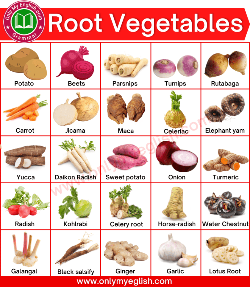 Country Diary: Identifying And Cooking A Carrot's Edible Root Relative Country Diary: Identifying And Cooking A Carrot's Edible Root Relative