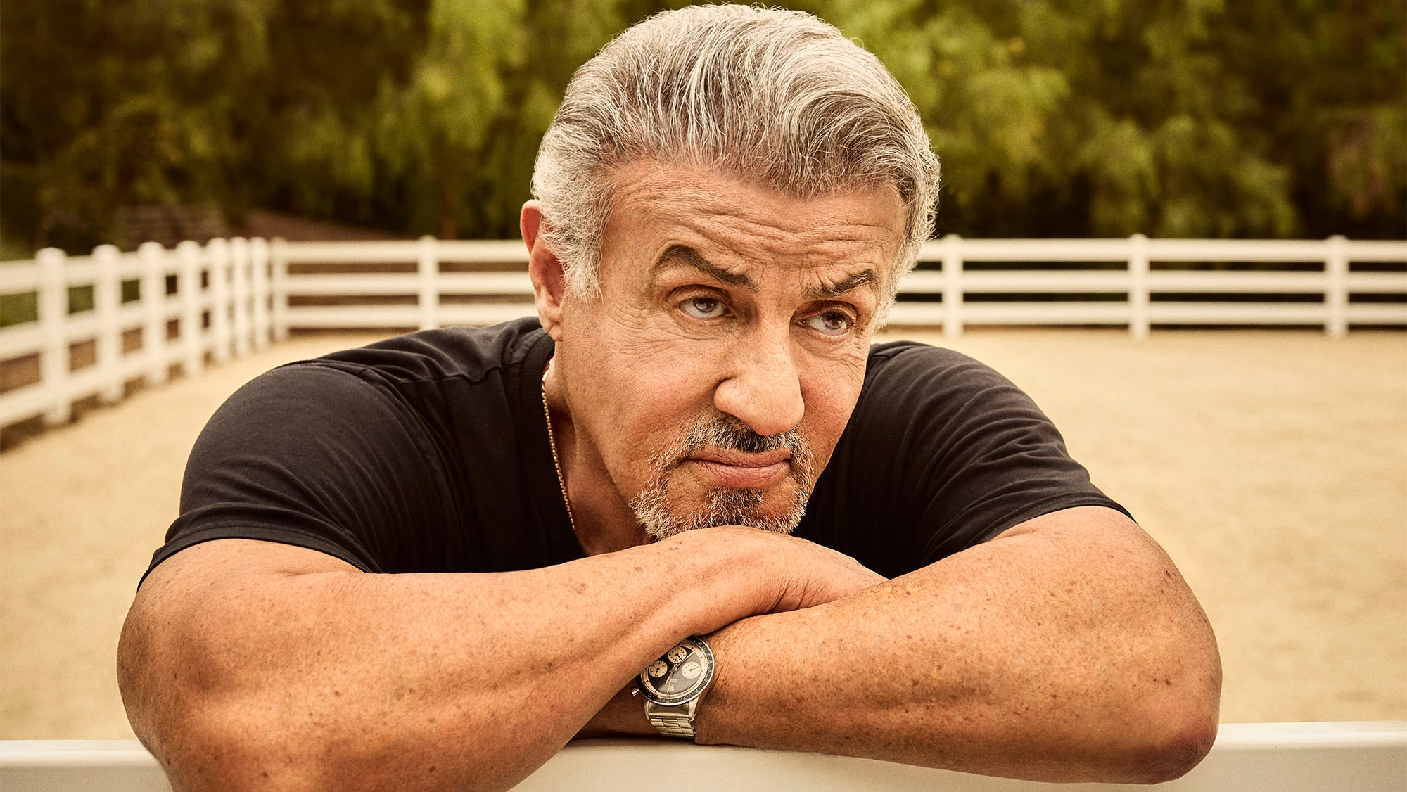 Crítica: A Injustiçada Adaptação De Quadrinhos De Sylvester Stallone Crítica: A Injustiçada Adaptação De Quadrinhos De Sylvester Stallone