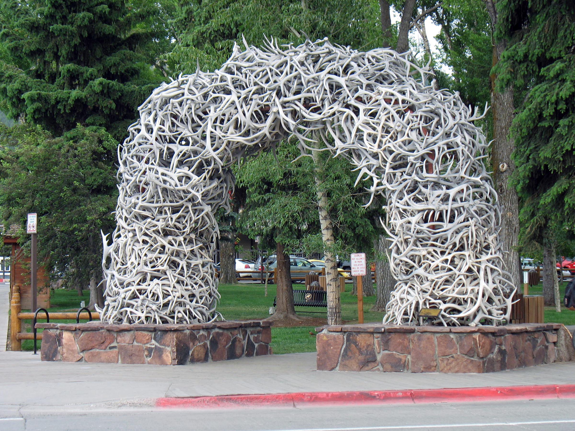 CWD Found In Jackson Hole Elk: Understanding The Risks CWD Found In Jackson Hole Elk: Understanding The Risks
