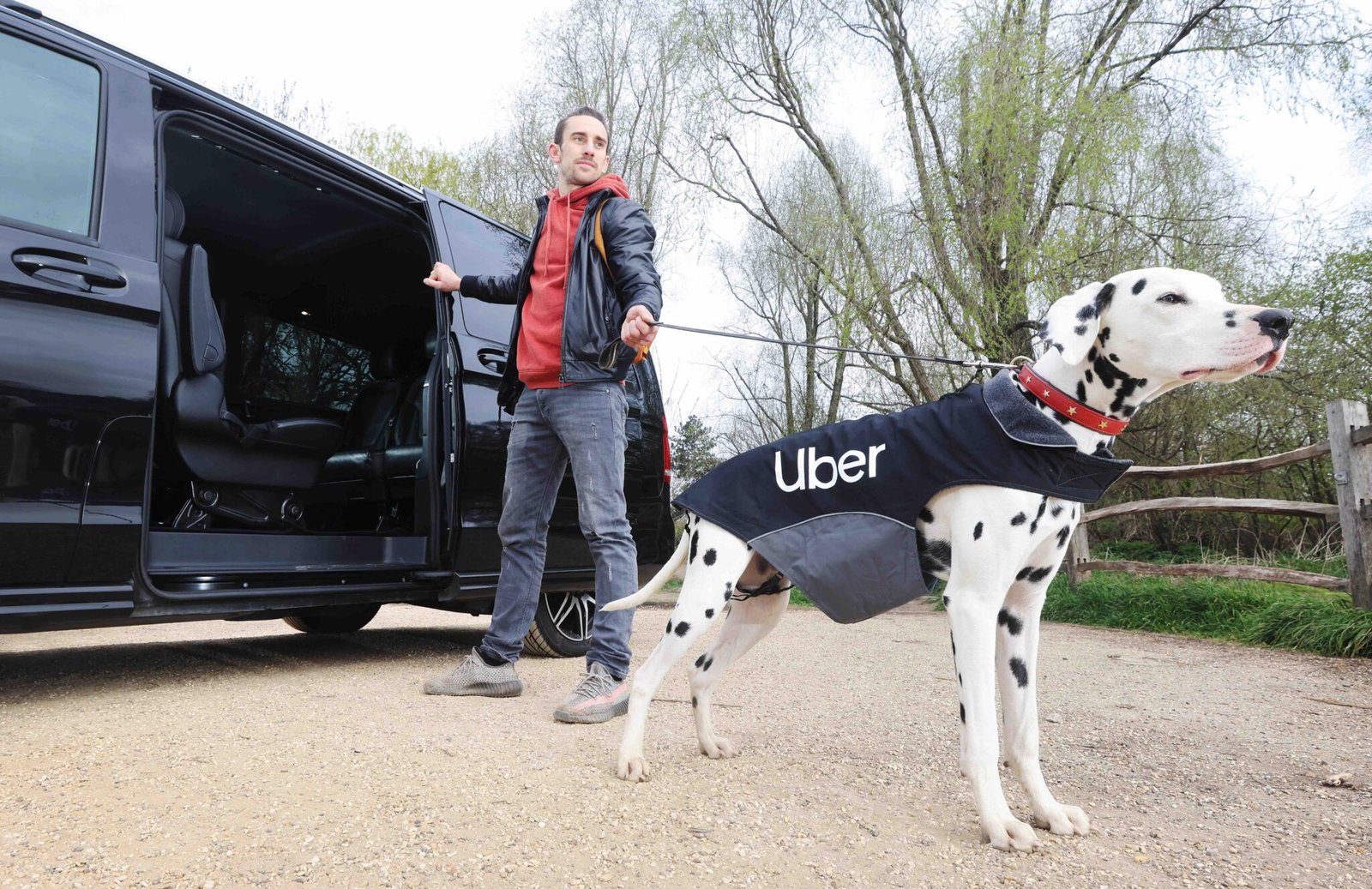 Delhi And Mumbai Residents Can Now Use Uber For Pet Transportation Delhi And Mumbai Residents Can Now Use Uber For Pet Transportation