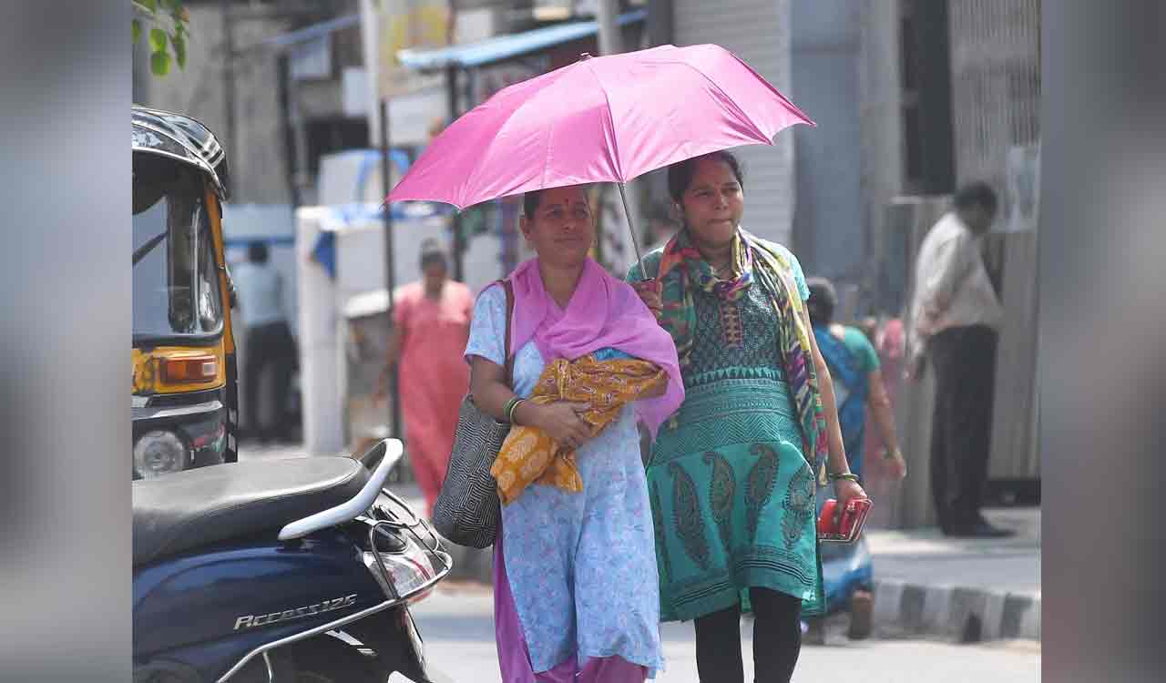 Delhi Government's Heatwave Warning: Advisory Issued Amid Soaring Temperatures Delhi Government's Heatwave Warning: Advisory Issued Amid Soaring Temperatures