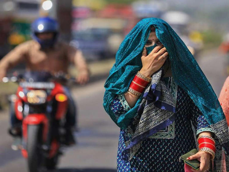 Delhi Heatwave: Government Issues Advisory, Warns Of Heatstroke Delhi Heatwave: Government Issues Advisory, Warns Of Heatstroke