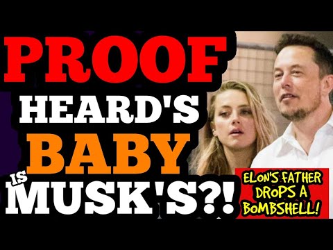 Did Elon Musk Father Amber Heard's Twins? Examining The Claims Did Elon Musk Father Amber Heard's Twins? Examining The Claims