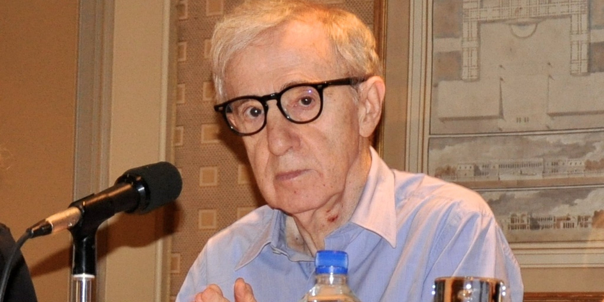 Did Woody Allen Abuse Dylan Farrow? Sean Penn Expresses Skepticism Did Woody Allen Abuse Dylan Farrow? Sean Penn Expresses Skepticism