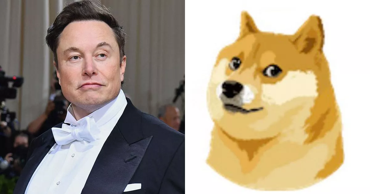 Dogecoin, Trump, And Musk: A Look Back At No Regrets Dogecoin, Trump, And Musk: A Look Back At No Regrets