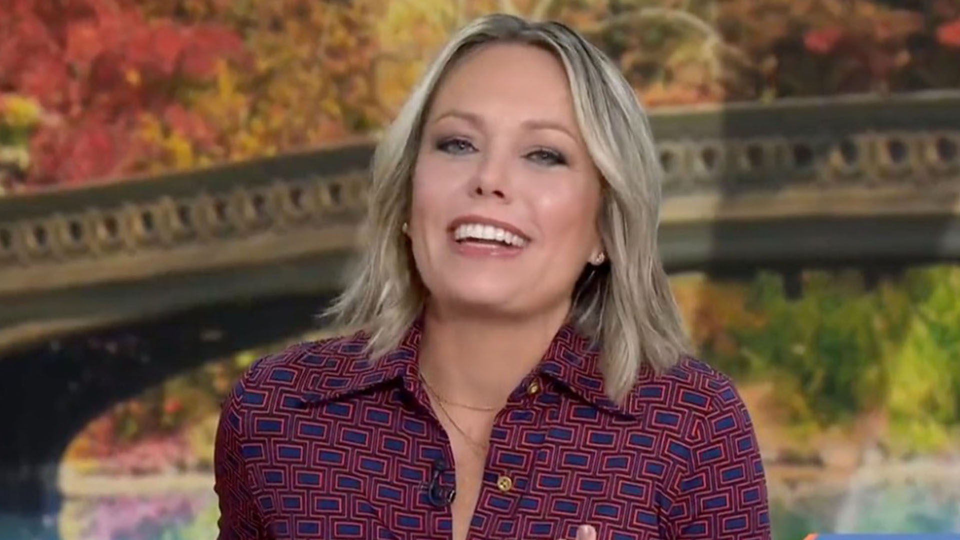 Dylan Dreyer's Health And Fitness Journey: A TODAY Show Success Story Dylan Dreyer's Health And Fitness Journey: A TODAY Show Success Story
