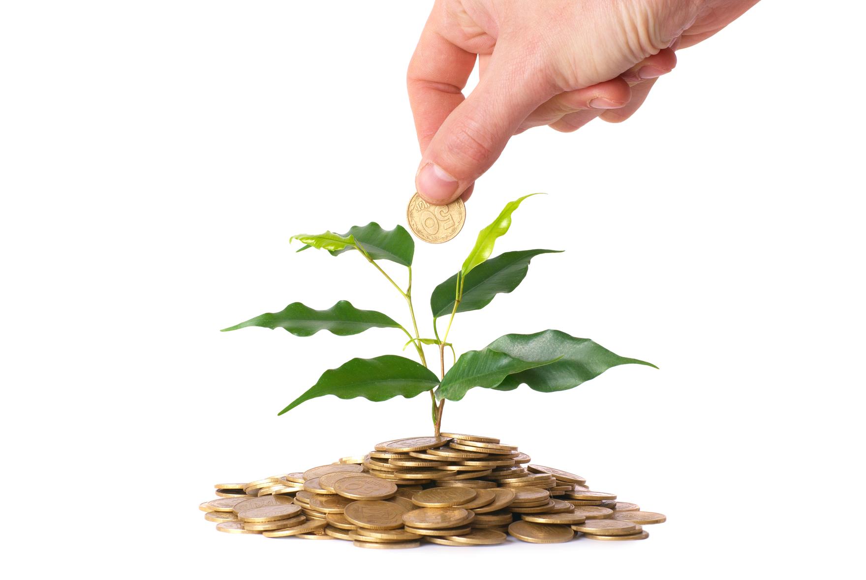 Easy Dividend Investing: The Path To Profitability Easy Dividend Investing: The Path To Profitability