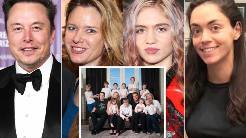 Elon Musk's Family Wealth: The Untold Truth According To Maye Musk Elon Musk's Family Wealth: The Untold Truth According To Maye Musk