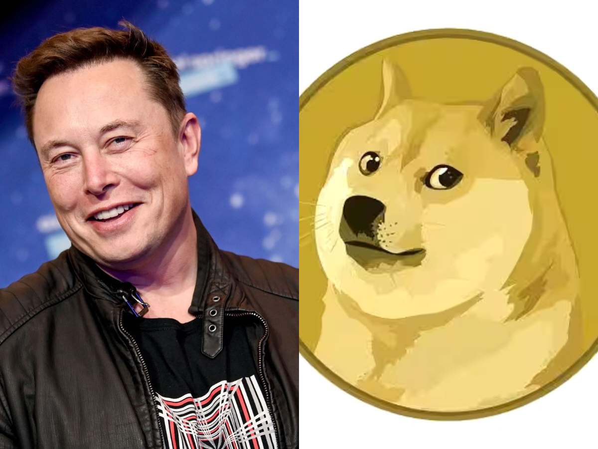 Elon Musk's Twitter Name Change And Its Effect On Gork Meme Coin's Price Elon Musk's Twitter Name Change And Its Effect On Gork Meme Coin's Price