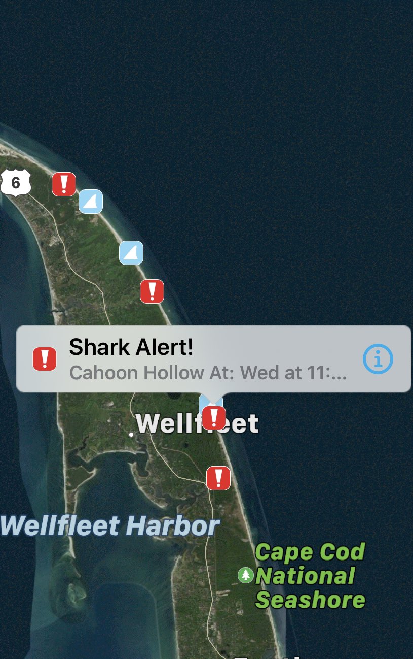 Emergency Red Tide Warning: Cape Cod Beaches Closed Emergency Red Tide Warning: Cape Cod Beaches Closed