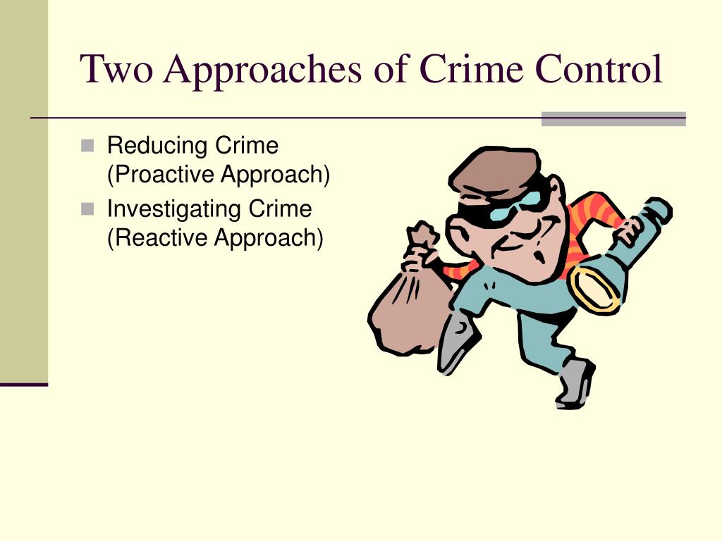 Enhancing Crime Control Through Efficient Directives Enhancing Crime Control Through Efficient Directives