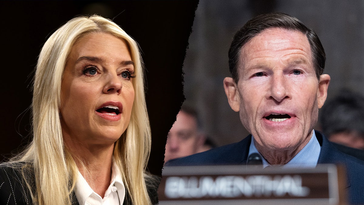 Epstein Records Concealment Allegations Against Pam Bondi From Senate Democrats Epstein Records Concealment Allegations Against Pam Bondi From Senate Democrats