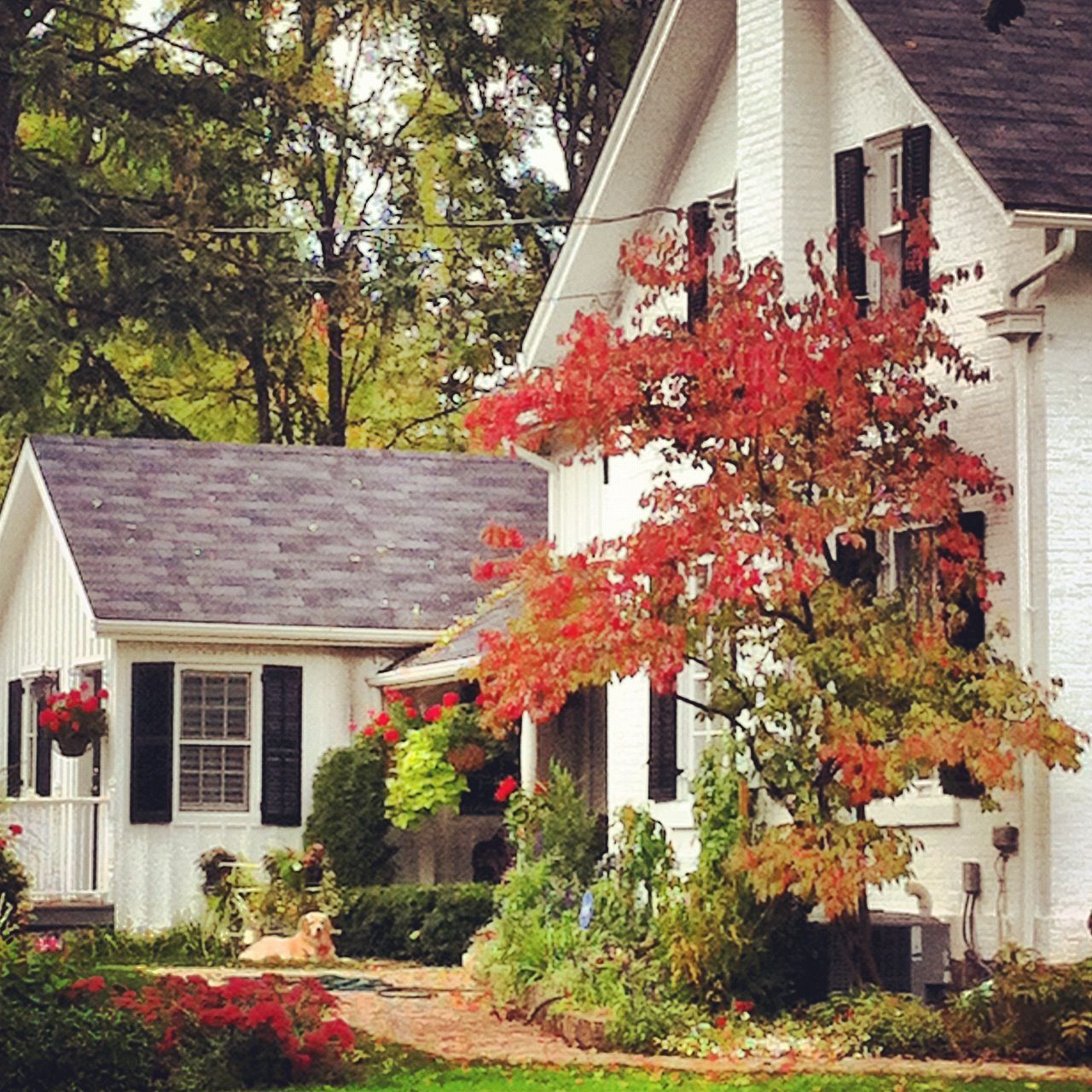 Escape To The Country: Finding Your Perfect Country Home Escape To The Country: Finding Your Perfect Country Home
