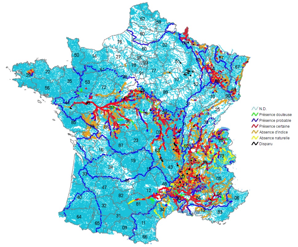 Étude De L'ingénierie Castor Dans Deux Cours D'eau De La Drôme Étude De L'ingénierie Castor Dans Deux Cours D'eau De La Drôme
