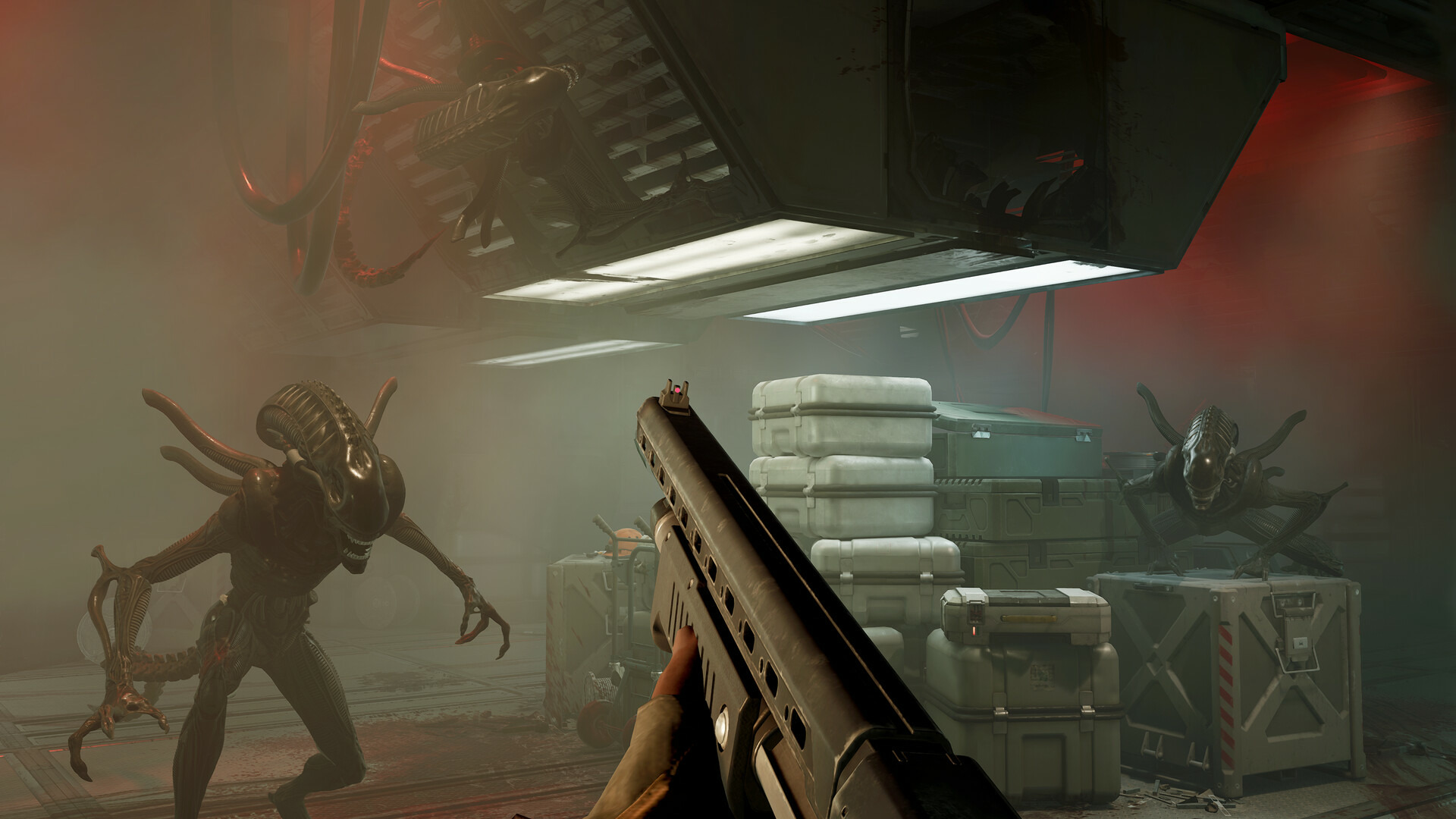 Experience Alien: Rogue Incursion Enhanced Edition - Beyond VR Experience Alien: Rogue Incursion Enhanced Edition - Beyond VR