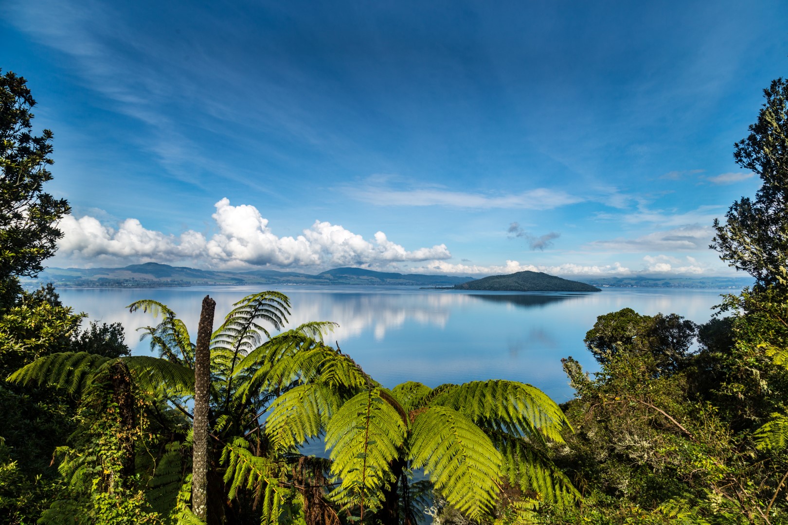 Exploring Rotorua: New Zealand's Geothermal And Cultural Hub Exploring Rotorua: New Zealand's Geothermal And Cultural Hub