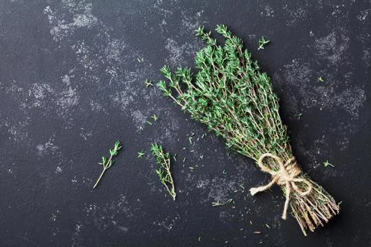 Exploring The Differences Between Rosemary & Thyme: Flavor Profiles And Uses Exploring The Differences Between Rosemary & Thyme: Flavor Profiles And Uses